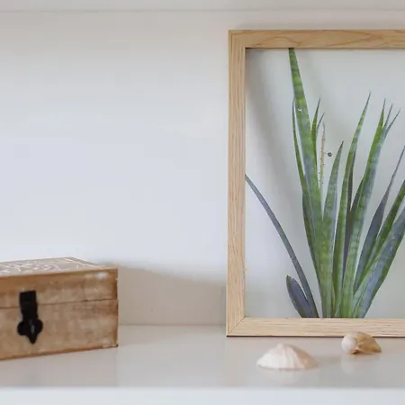 Apartment Cristobal *